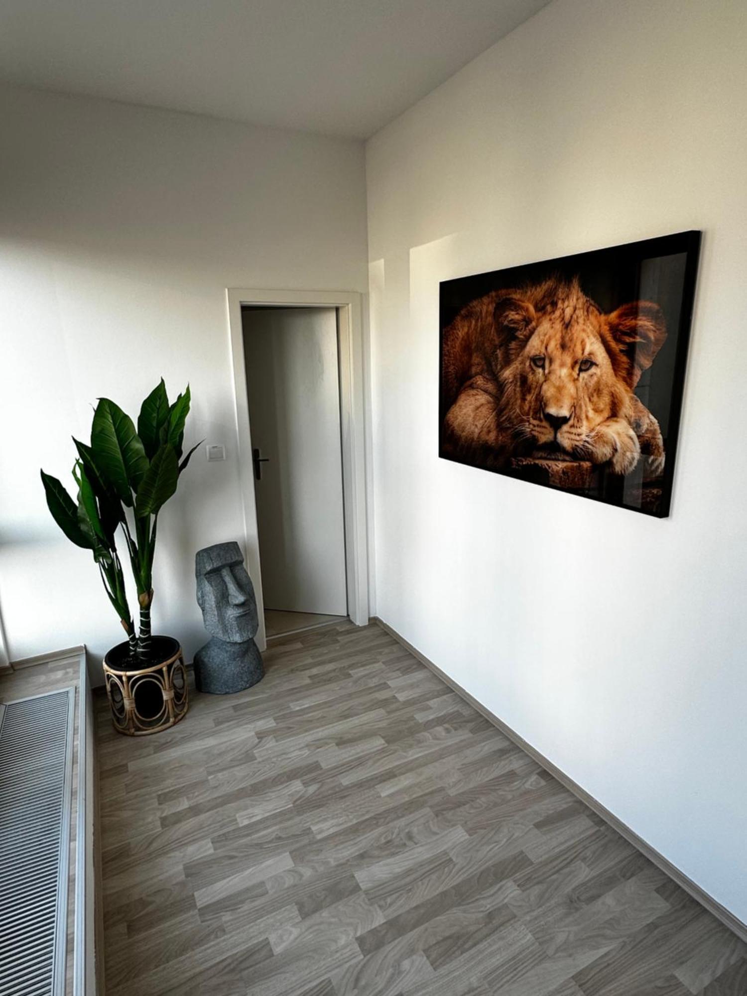 Luxury Penthouse At The Historical Centre With Free Parking Apartment Bratislava Bagian luar foto